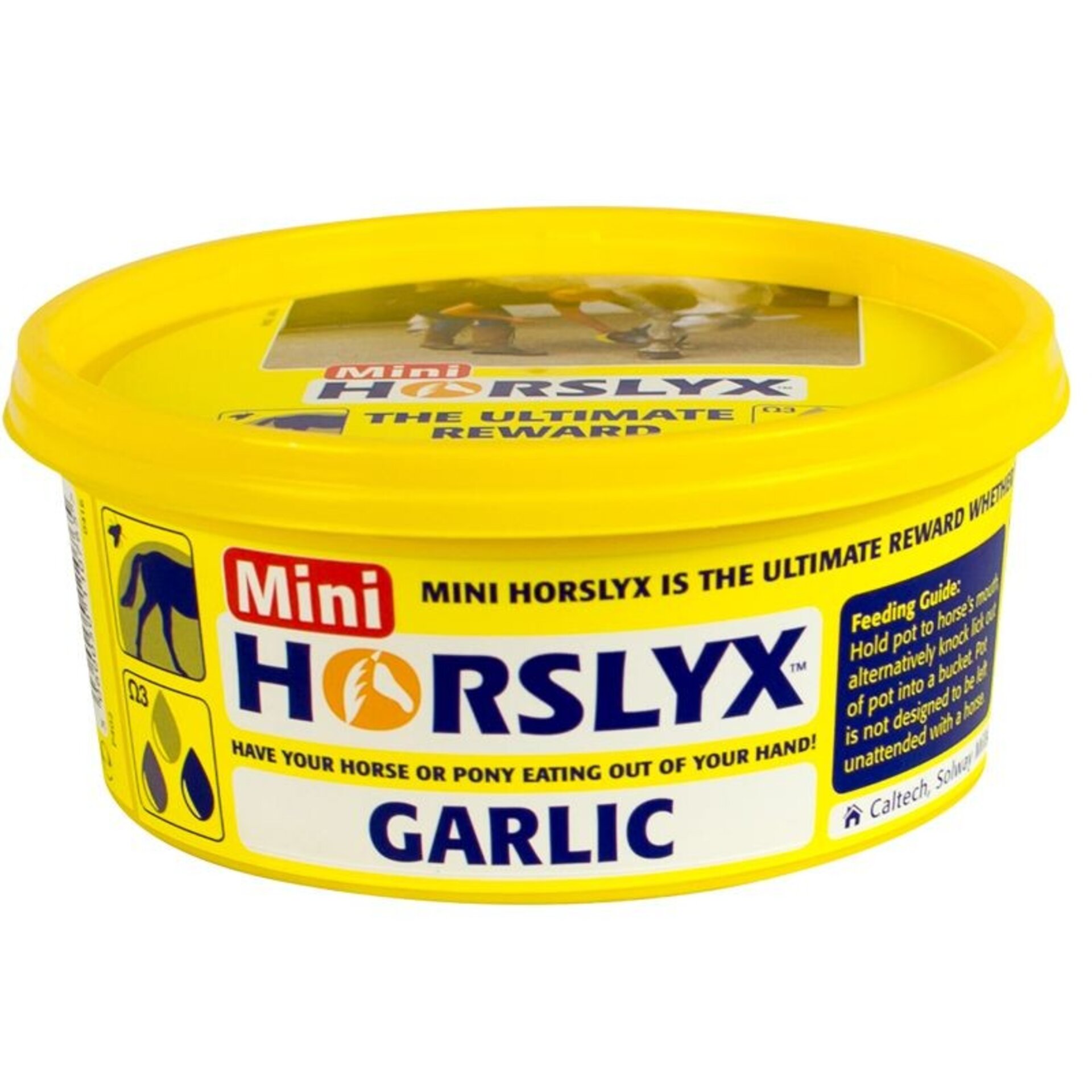 HORSLYX - COMPUESTO PARA LAMER DE AJO - 1