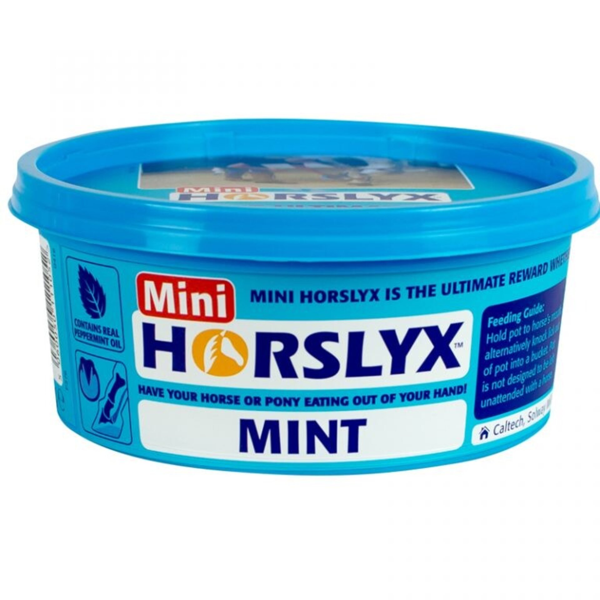 HORSLYX - COMPUESTO PARA LAMER DE MENTA - 1